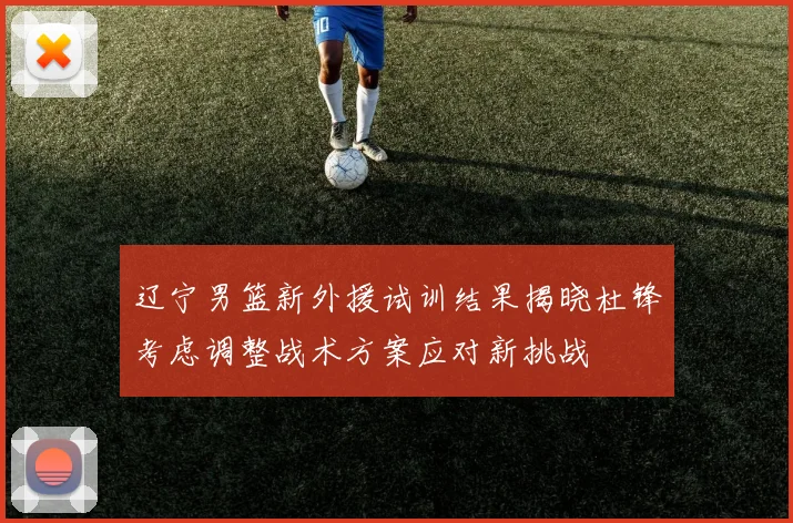 辽宁男篮新外援试训结果揭晓杜锋考虑调整战术方案应对新挑战